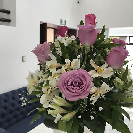 Hotel Plaza Amalia Tuxtla Gutiérrez Dış mekan fotoğraf