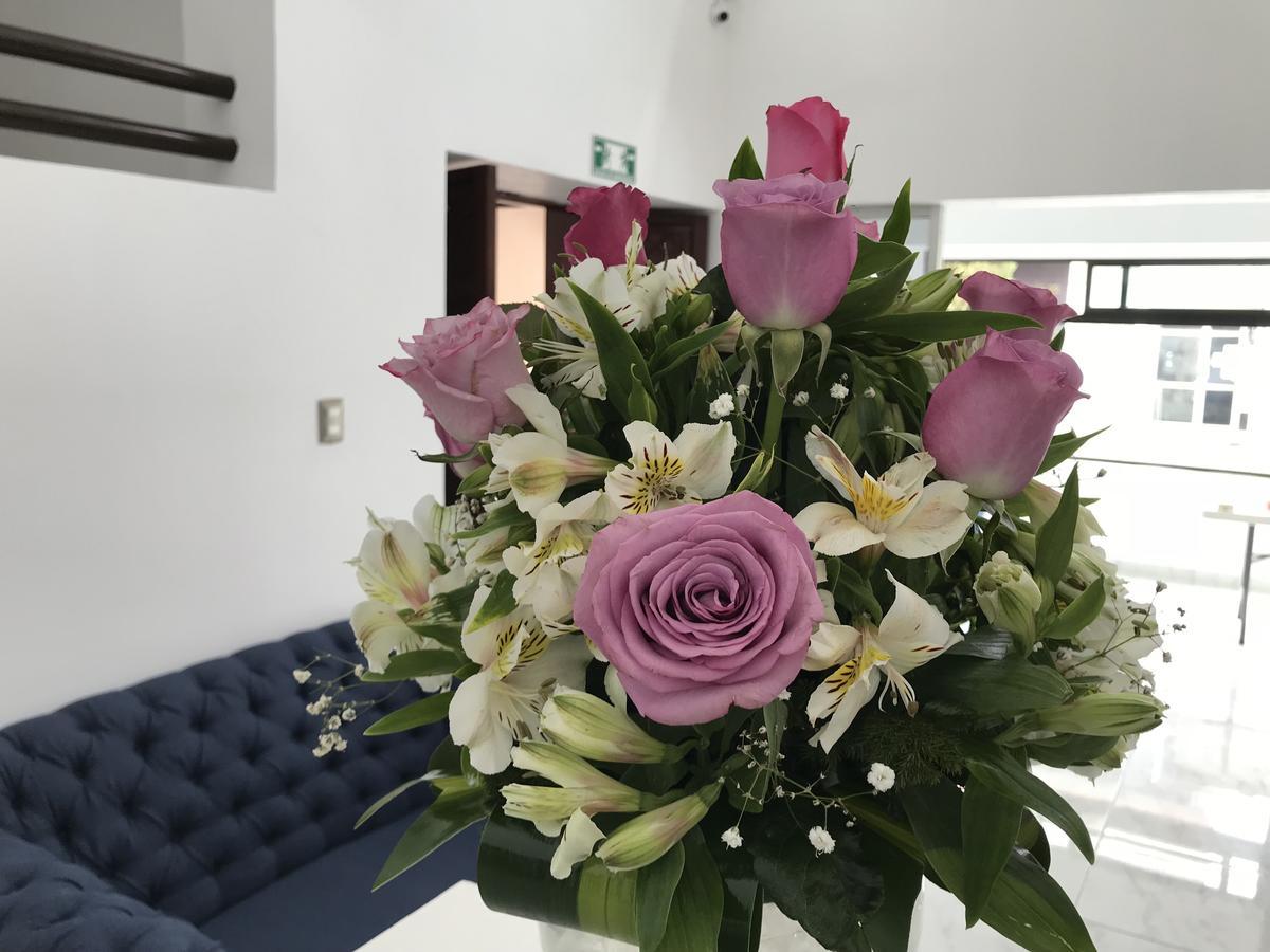 Hotel Plaza Amalia Tuxtla Gutiérrez Dış mekan fotoğraf